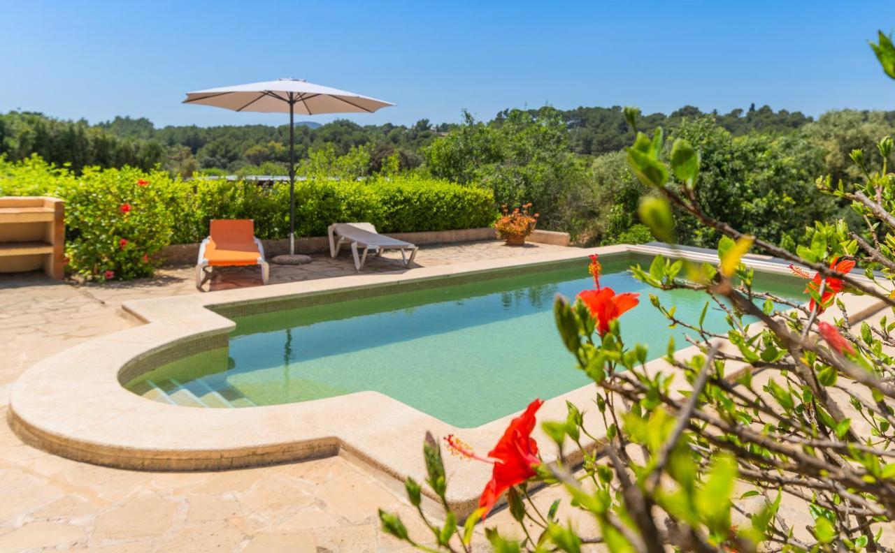 Palleta Hébergement de vacances *