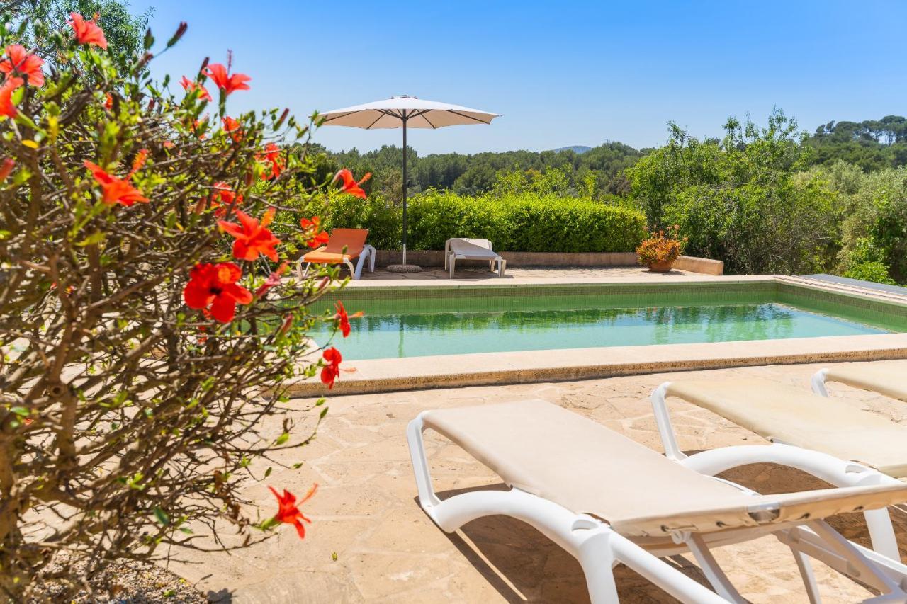 Hébergement de vacances Palleta Calonge (Mallorca)